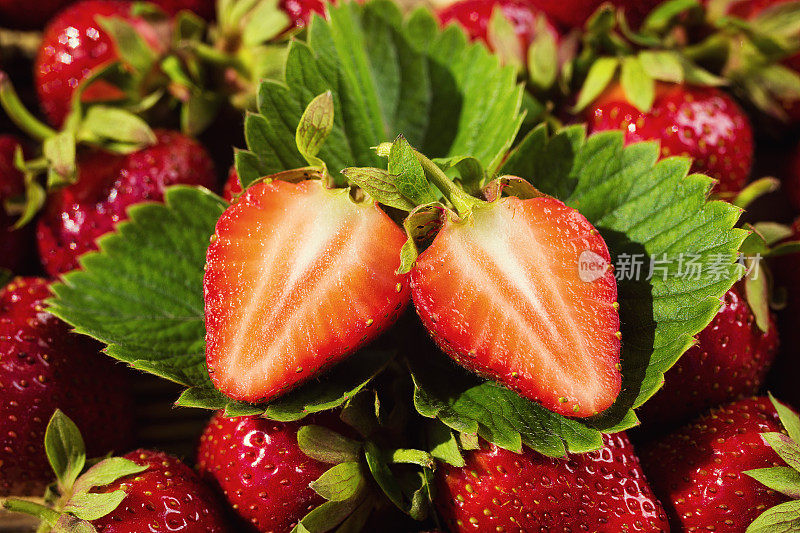 草莓切，草莓切，草莓篮，草莓木桌，草莓，草莓篮，草莓在自然背景，水果概念，新鲜草莓