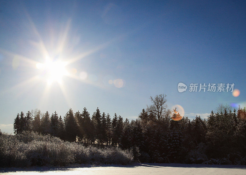 雪地里的阳光