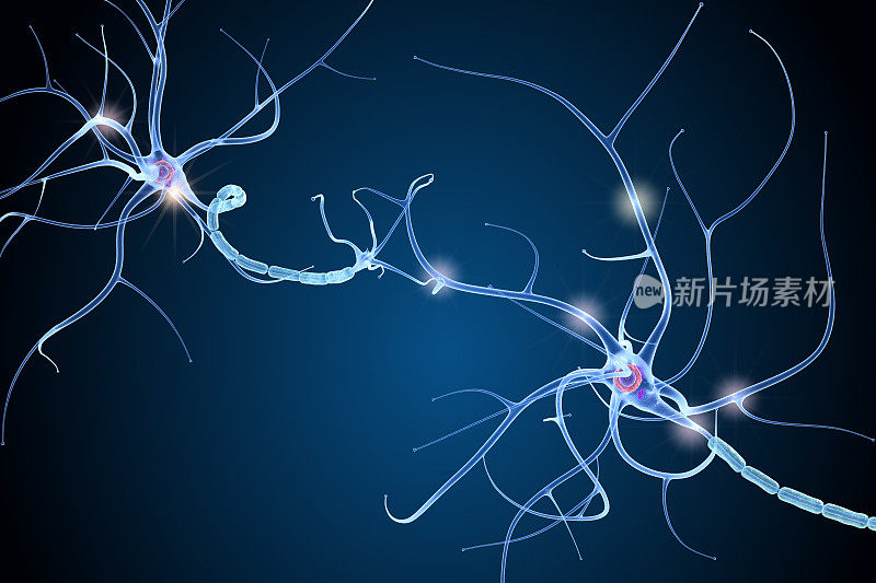 详细的神经细胞解剖。三维演示