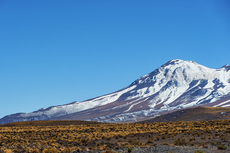 风景-阿塔卡马沙漠-安第斯山脉-雪山-安第斯高原