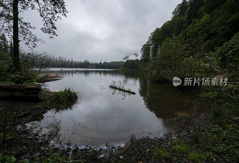 黎明时分湖面上的薄雾，树木和倒影