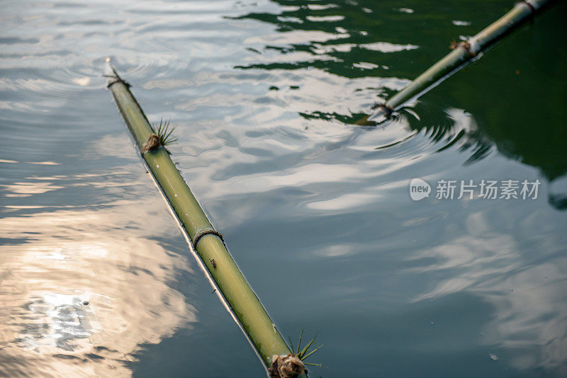 青竹浮水