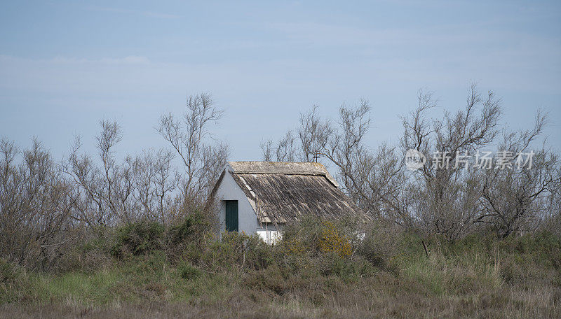 法国南部的风景