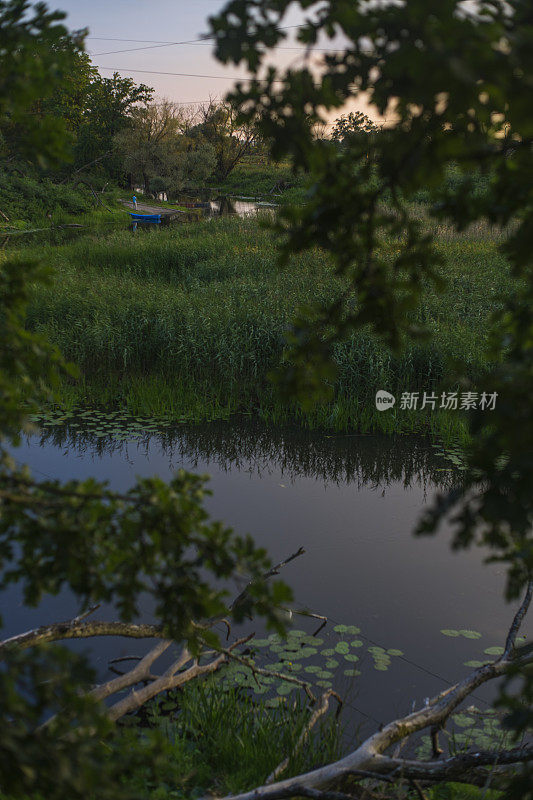 和平的风景。树木环绕的湖