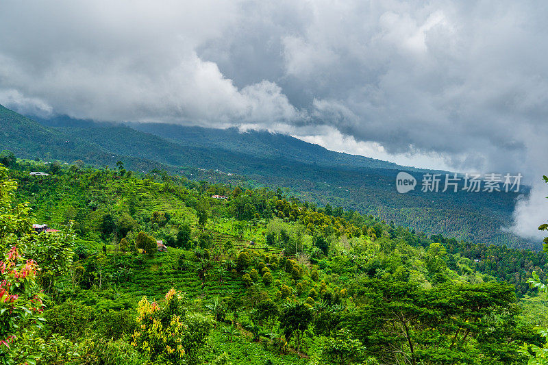 云雾缭绕的山峦覆盖着雨林。