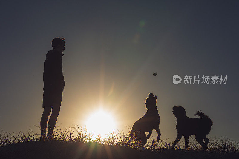 一名少年在日落时与他的狗玩耍