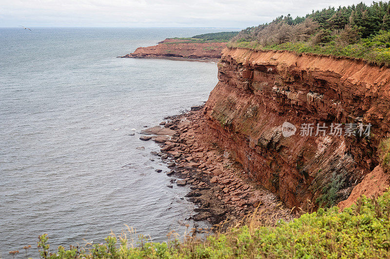 爱德华王子岛海湾海岸公园路