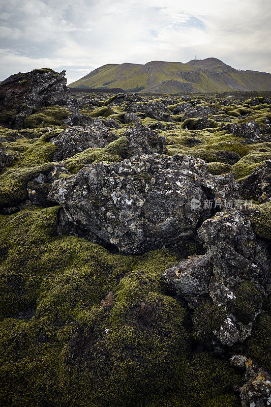 苔藓覆盖着冰岛的岩石和火山景观