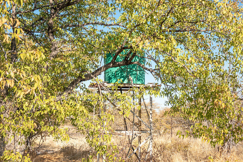 纳米比亚库内内地区埃托沙国家公园的水箱
