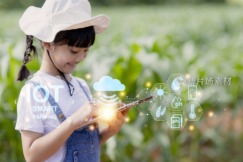 小女孩用平板电脑分析农业地块和视觉图标中的植物生长情况。农业技术理念。智能农业学习