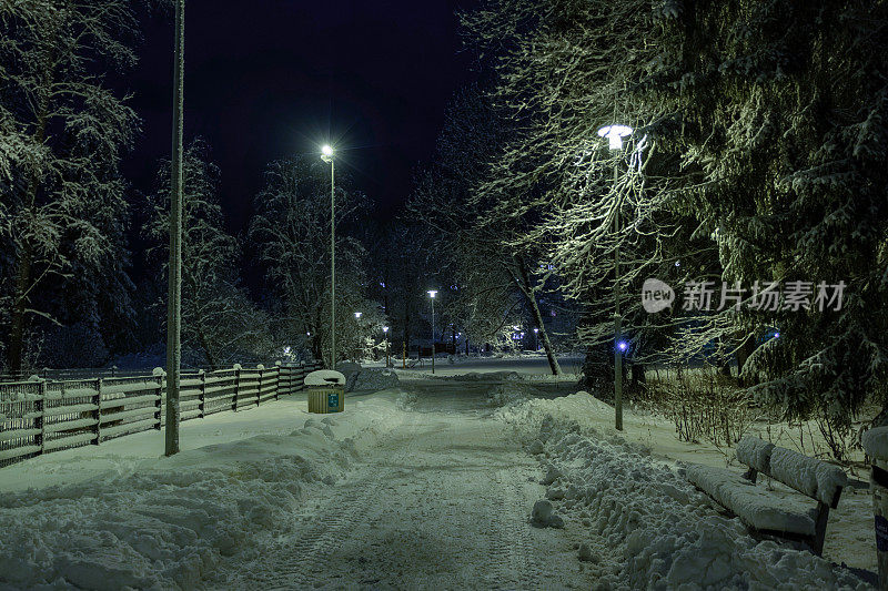 冬天的风景。森林中间的步道和一盏路灯。暮光。