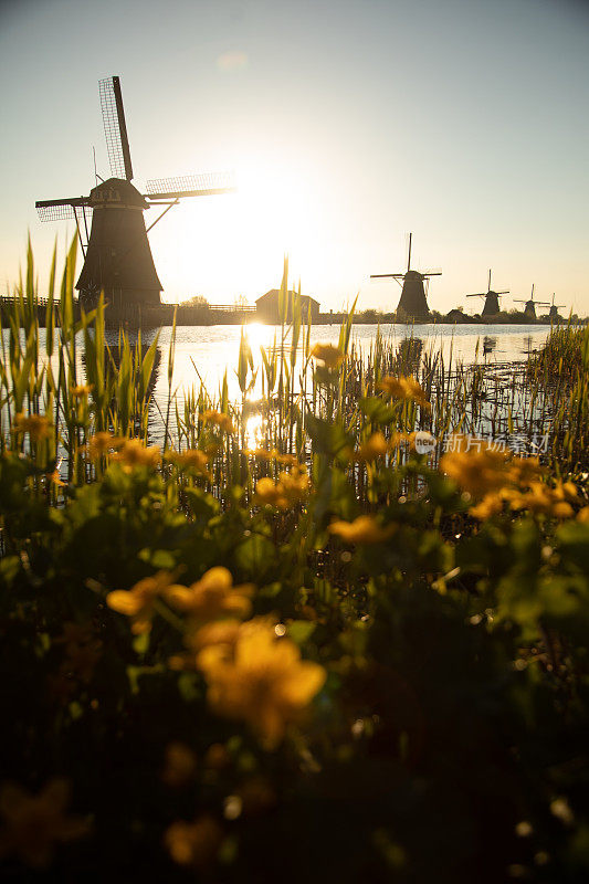 荷兰日出时的传统风车群是世界文化遗产