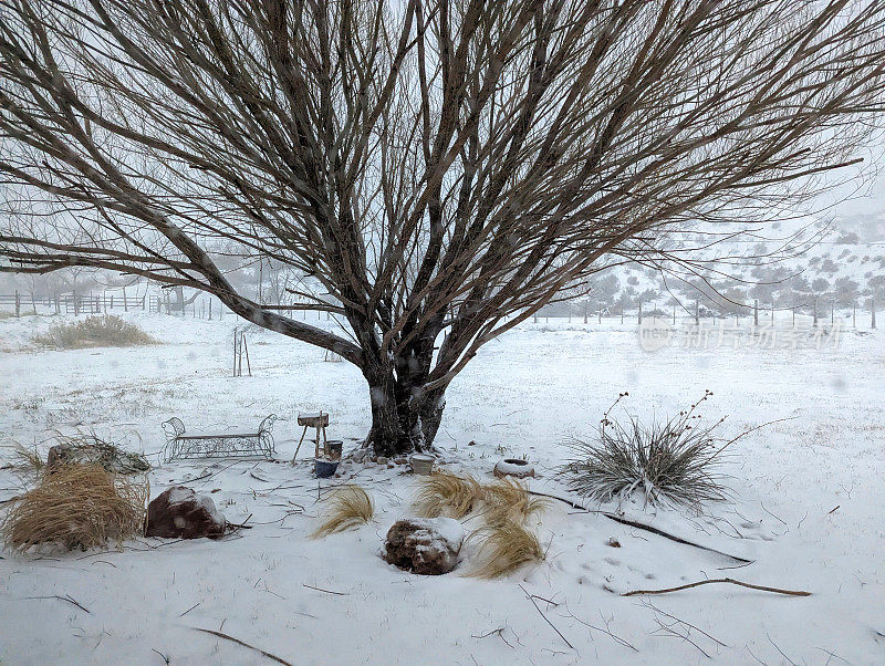 犹他州洛克维尔岩石花园的下雪天