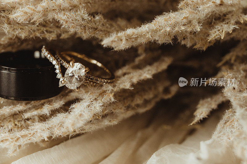潘帕斯草原中性色的结婚戒指