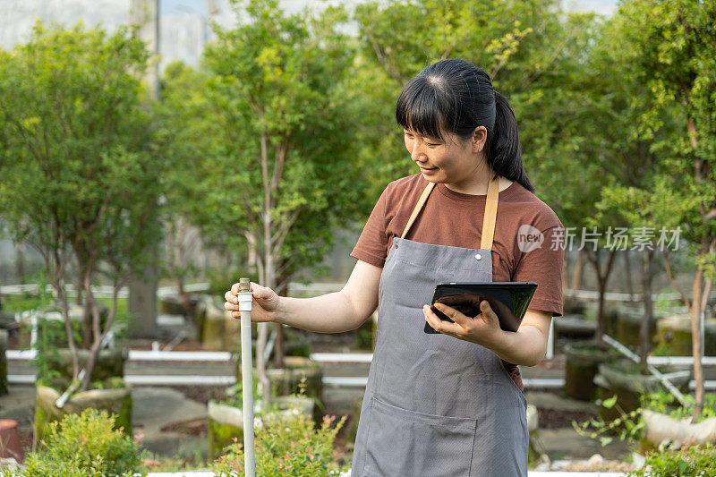 一名亚洲女农民正在自动苗圃里使用平板电脑检查贾布提卡巴幼苗的生长情况