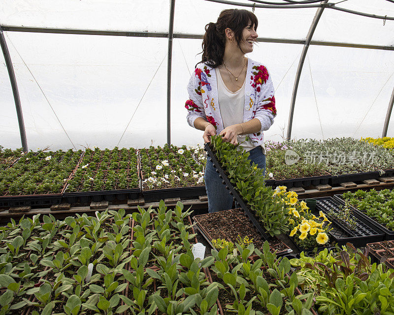 年轻女子在她的温室里整理鲜花