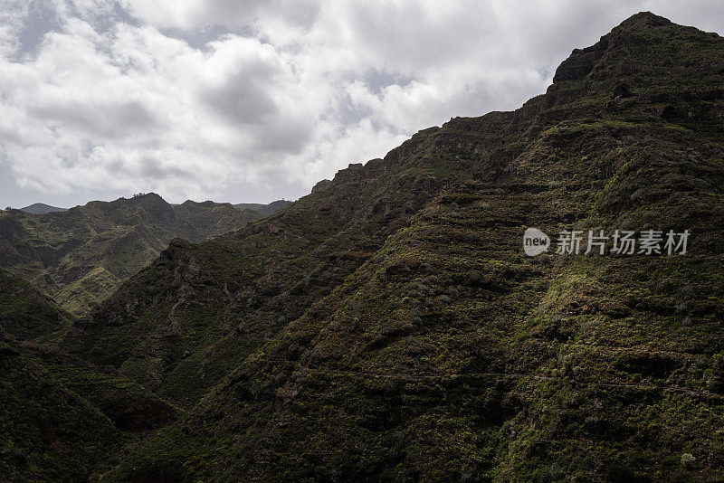 加那利群岛特内里费岛的海岸生态系统