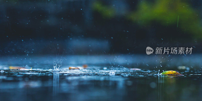 阴雨天气背景。雨滴。水坑