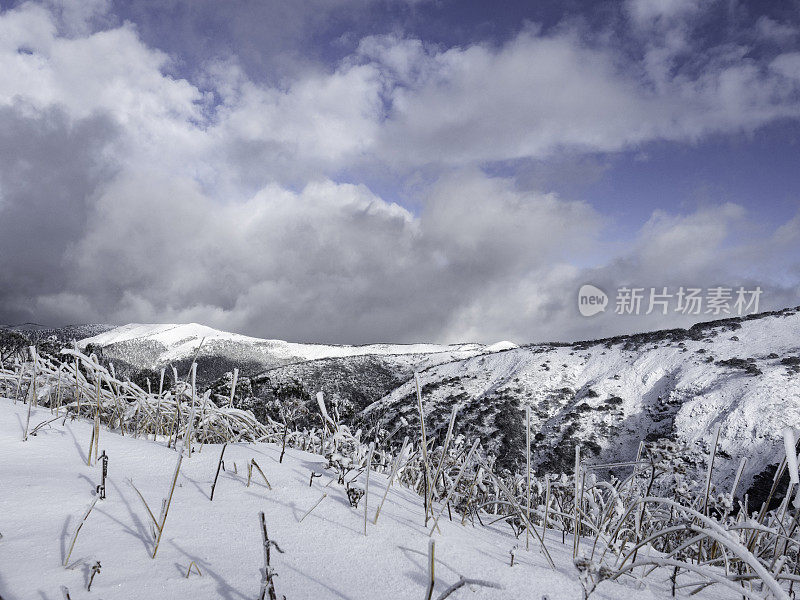 雪山