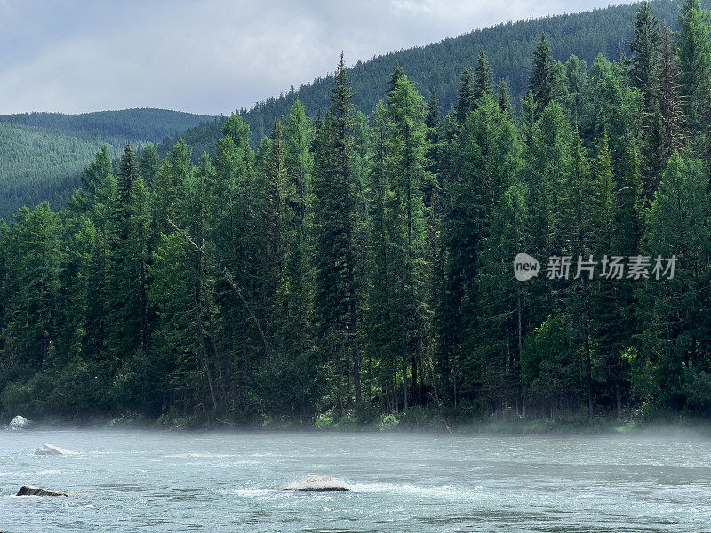雾气笼罩着山间的河流。清澈的水流流过巨石。风景如画的江山美景。