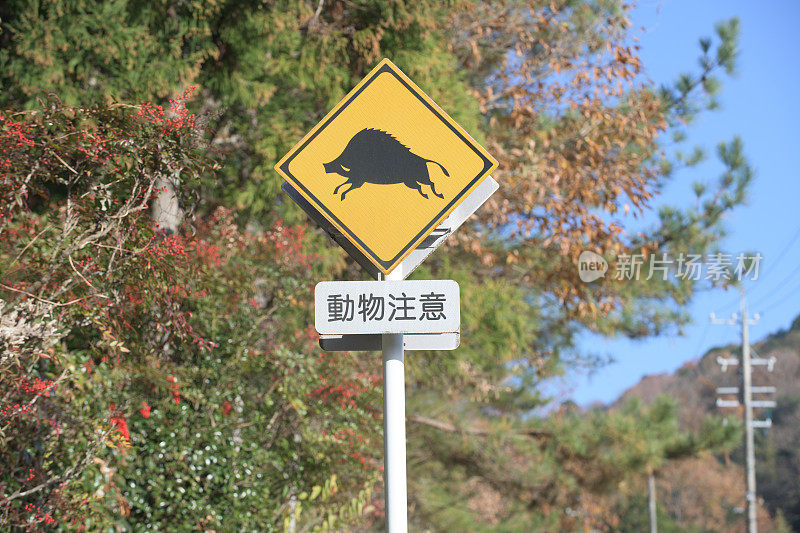 动物警告路标
