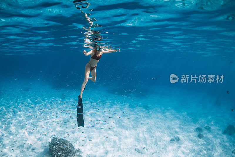 带着脚蹼在沙滩上游泳的女人。在夏威夷的蓝色海洋里自由潜水