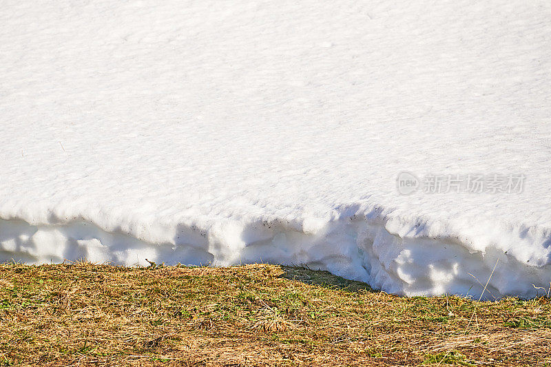 雪