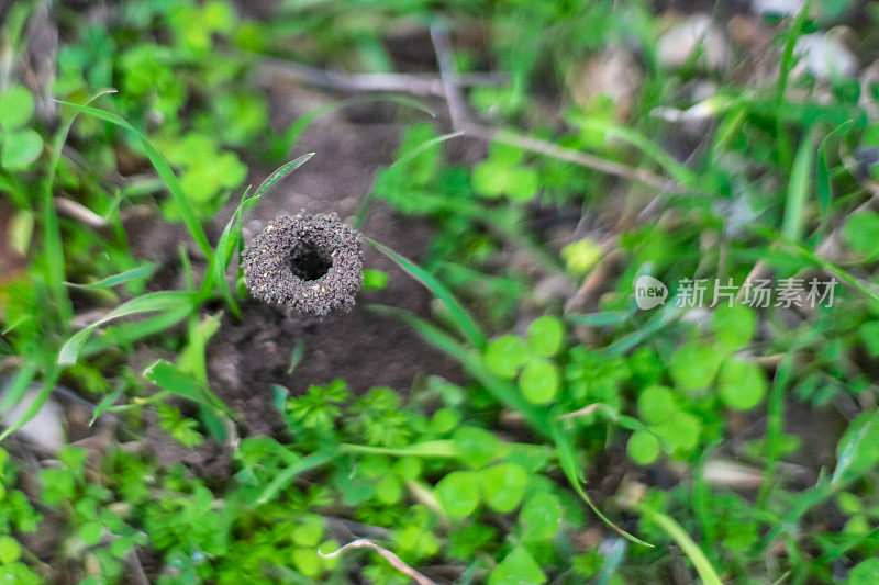 人群密集的地方