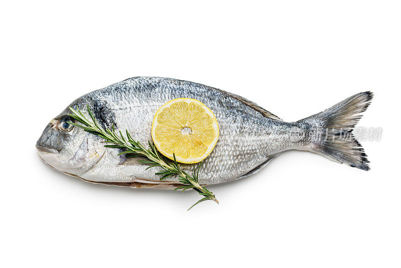 新鲜的海鲷鱼，迷迭香和柠檬隔离在白色背景。