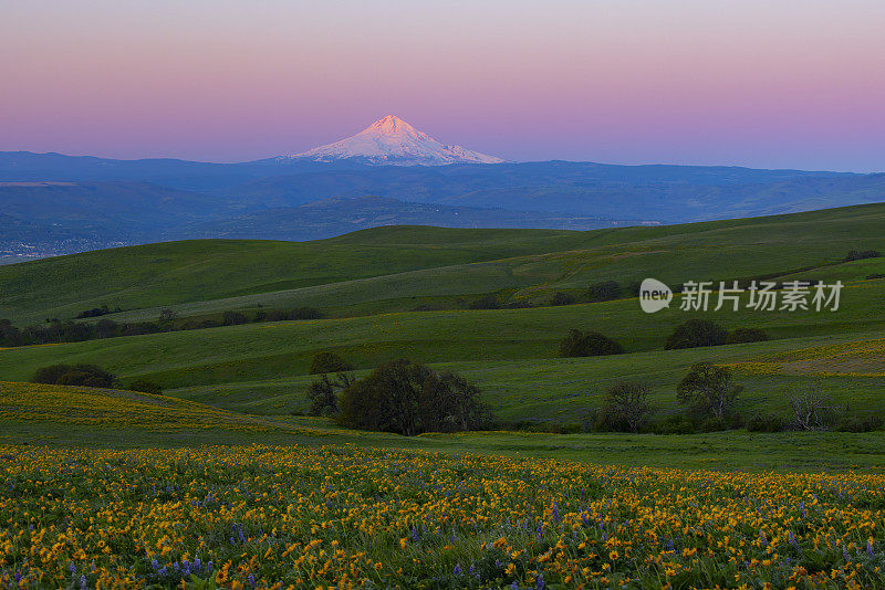 哥伦比亚山州立公园华盛顿胡德山。