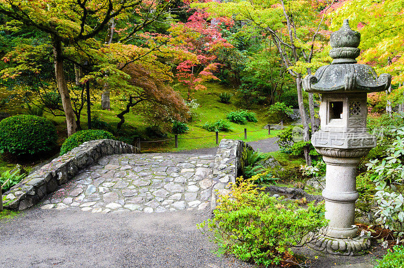 西雅图的日式花园