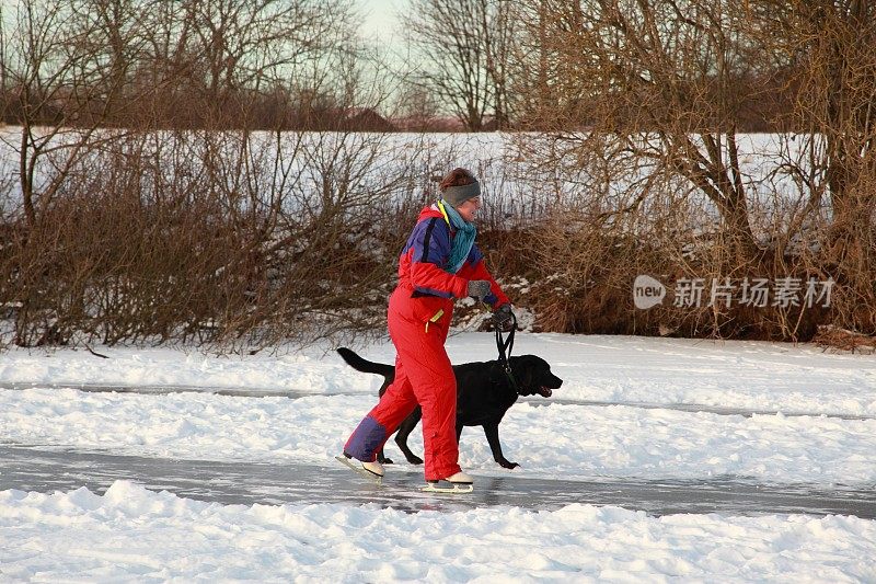 女子滑冰被她的狗拖着