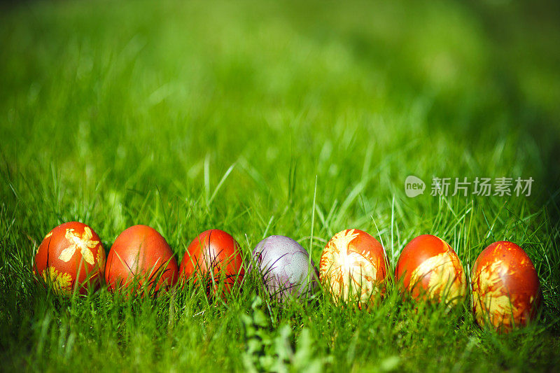草地上有复活节彩蛋