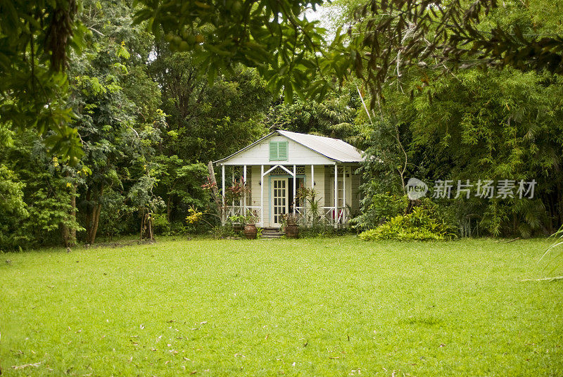 幽静舒适的小屋坐落在茂密的树林和草坪上