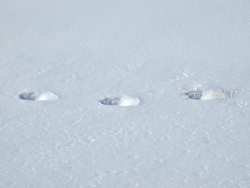 雪地上的三个脚印