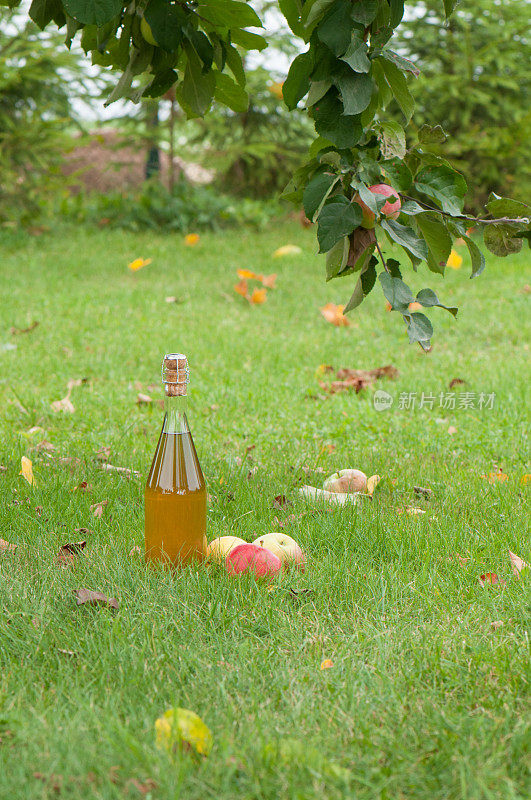 苹果酒和草地上的苹果