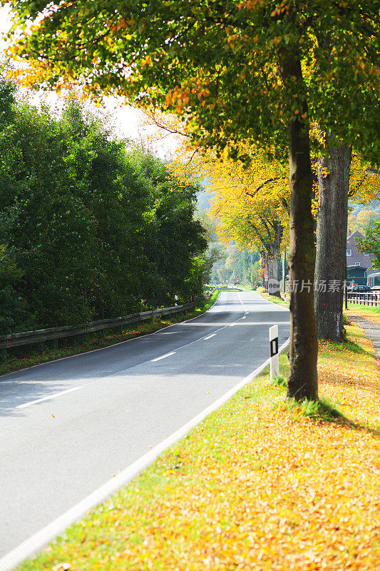 秋日鲁尔谷路