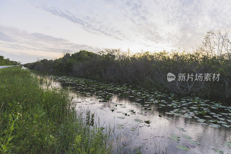 佛罗里达达德迈阿密克罗姆大道大沼泽地运河