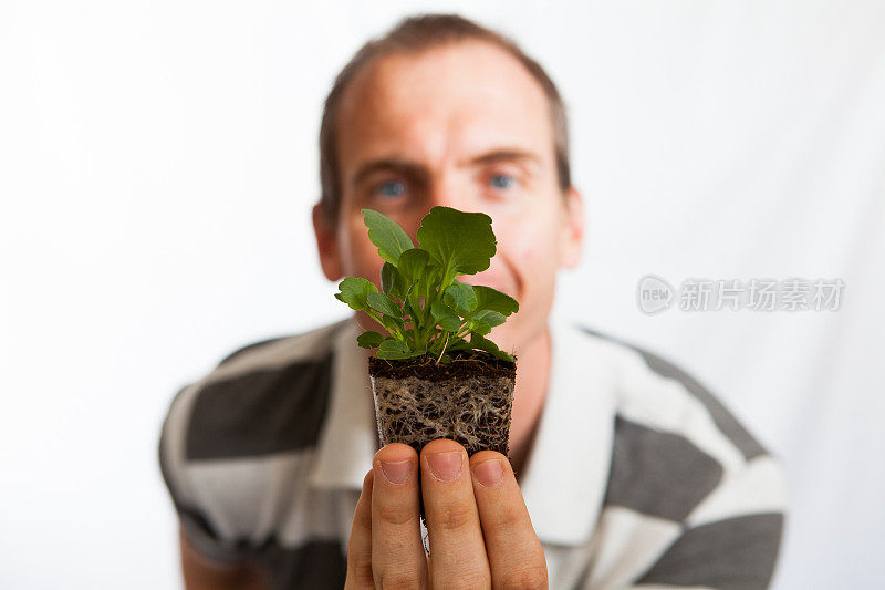 兴奋的雄抱着一株绿色的小植物