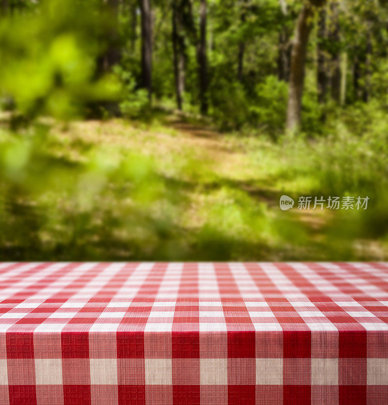 森林里的夏季野餐桌与公园小径。