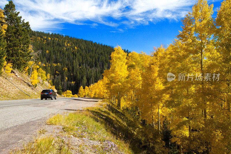 秋景:黄杨成行的山路，游览车