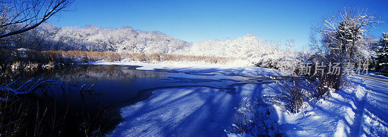 冰冻的池塘全景