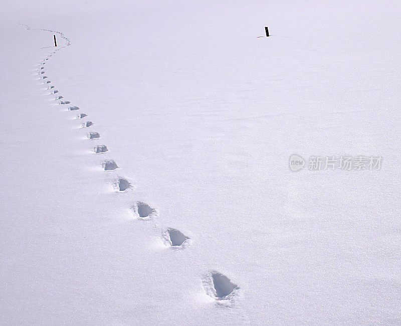 雪跟踪