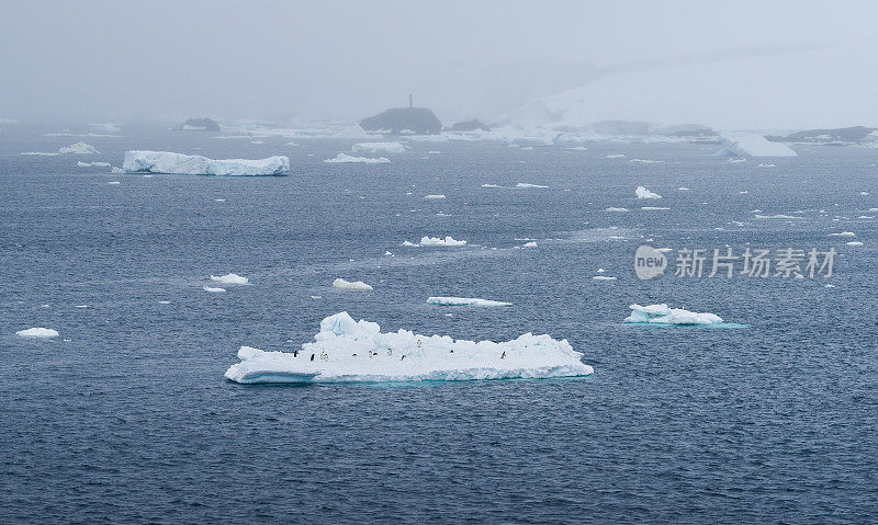 广告吗?企鹅躺在南极漂浮的冰山上