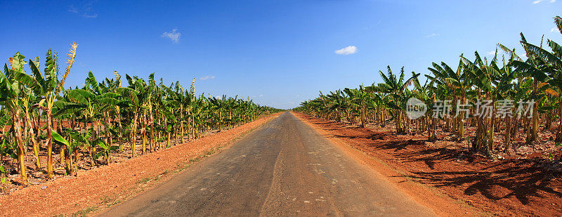 古巴的道路