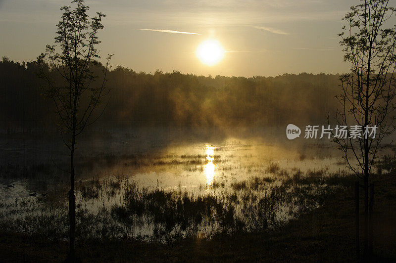 湿地上的日出