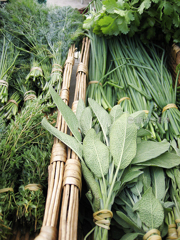 新鲜的鼠尾草，百里香，莳萝和韭菜在农贸市场