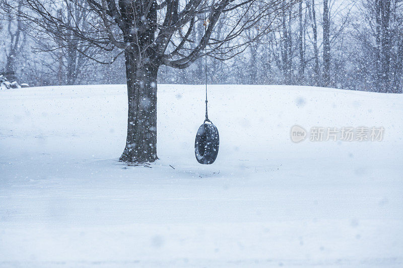 雪暴风雪轮胎秋千悬挂在冬季枫树