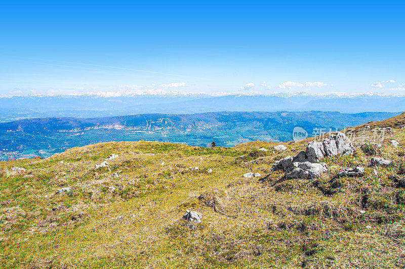 阿尔卑斯山脉的山顶风景在夏天