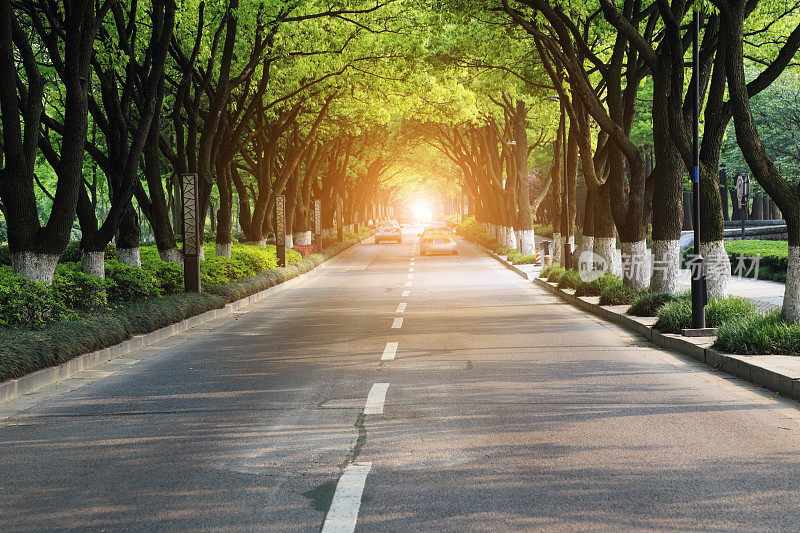 通往中国远郊的弯弯曲曲的道路